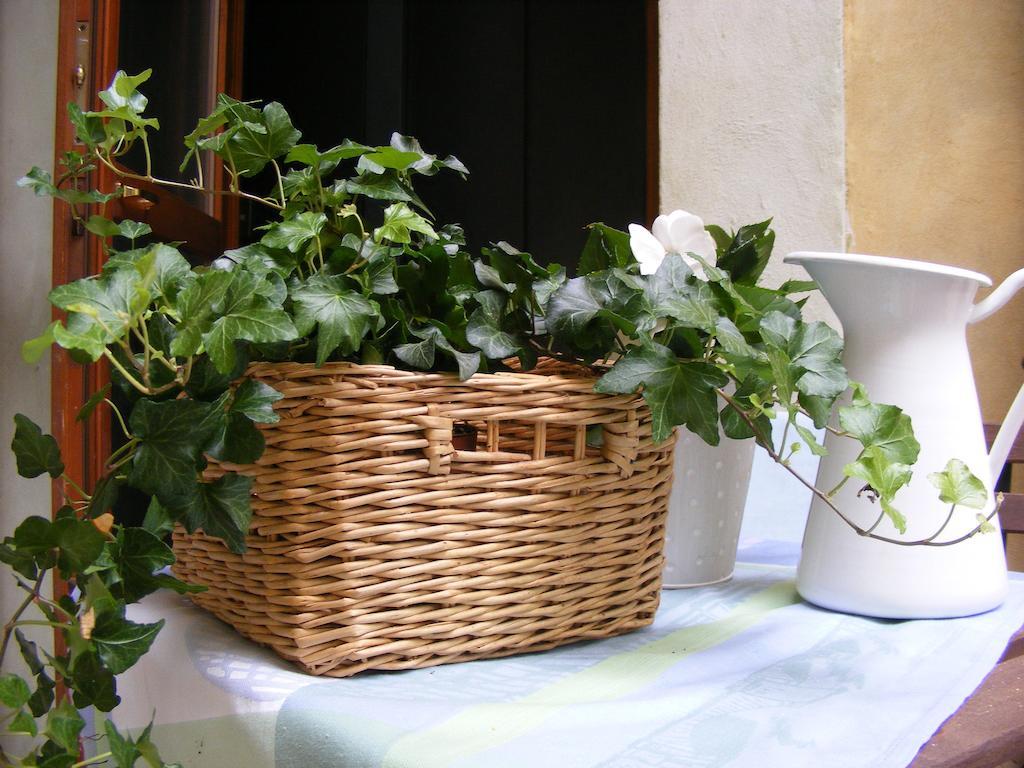 B&B Borgo Re Teodorico Верона Екстериор снимка